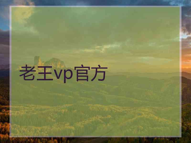 老王vp官方