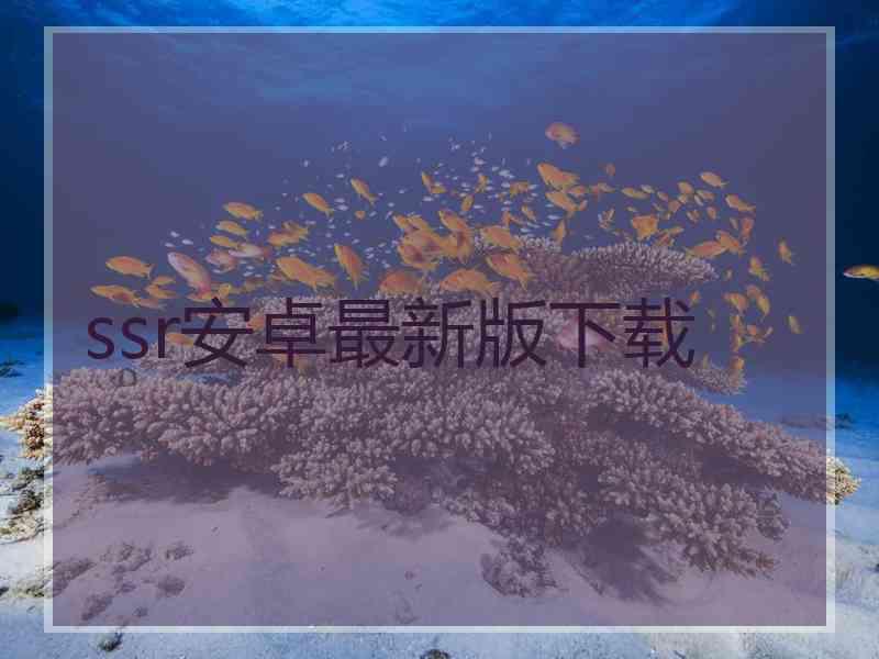 ssr安卓最新版下载
