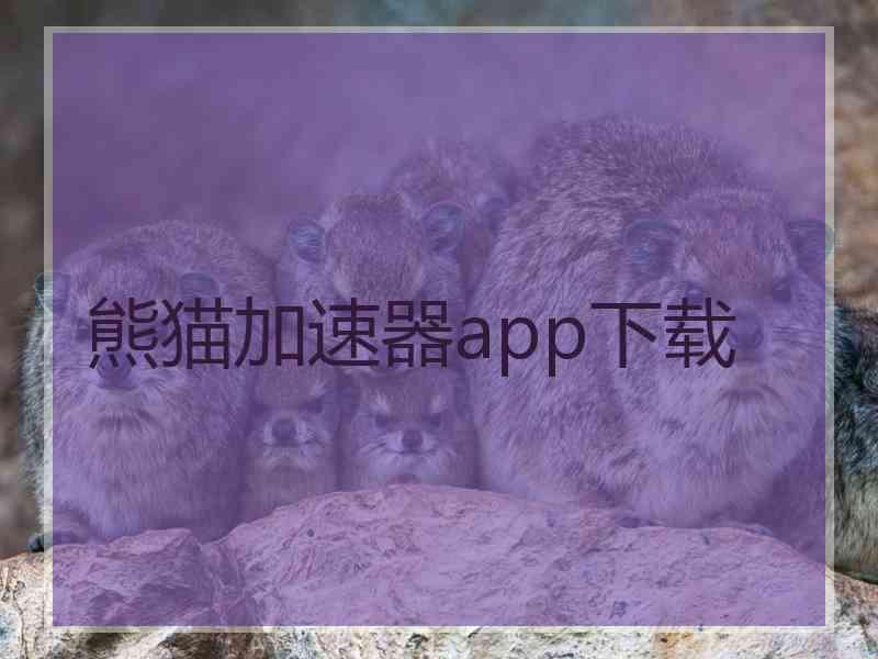熊猫加速器app下载