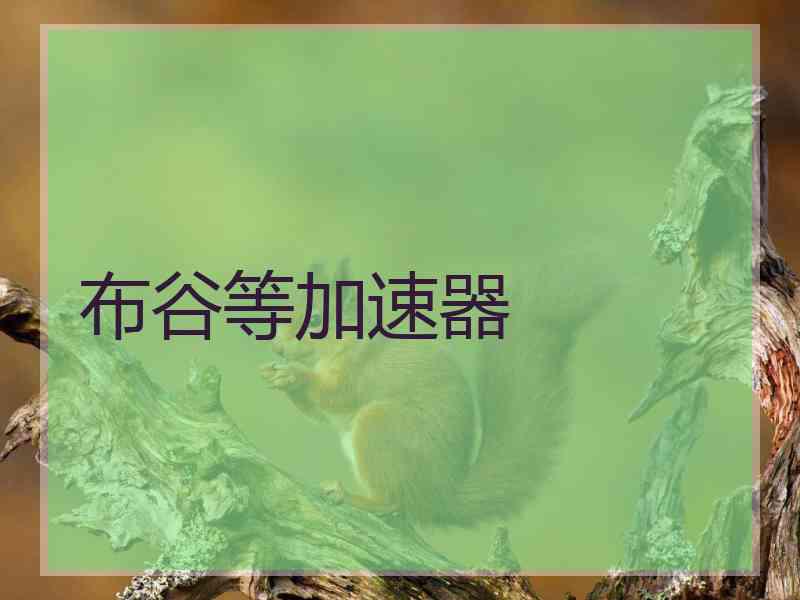 布谷等加速器