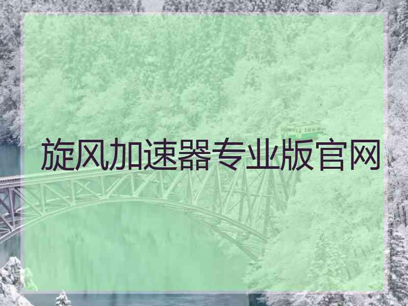 旋风加速器专业版官网