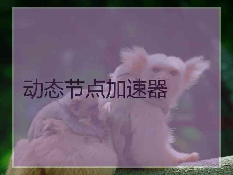 动态节点加速器