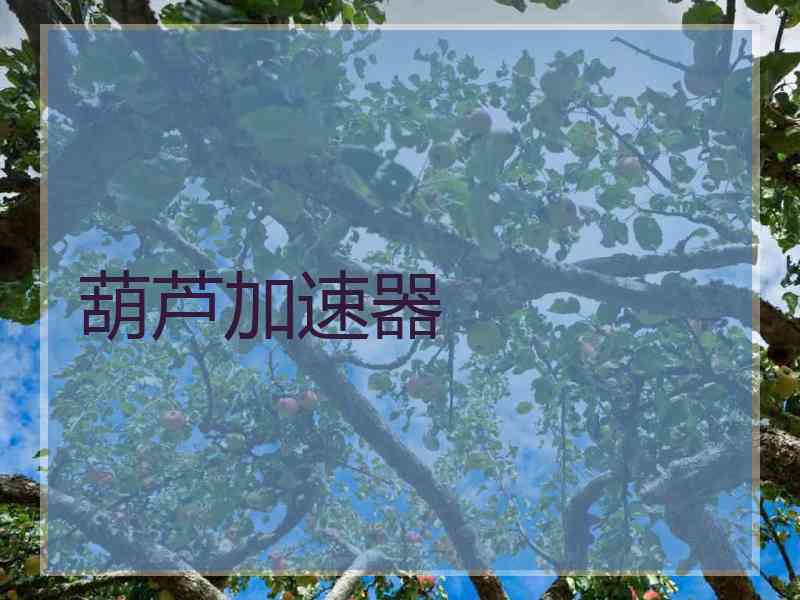 葫芦加速器