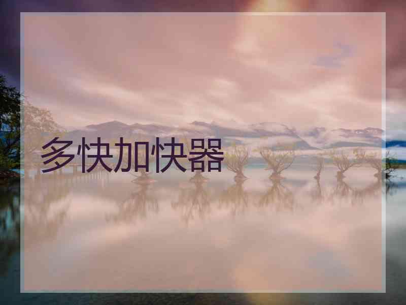 多快加快器