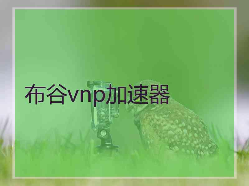 布谷vnp加速器
