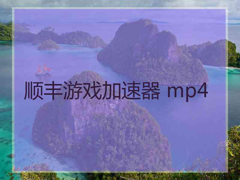 顺丰游戏加速器 mp4