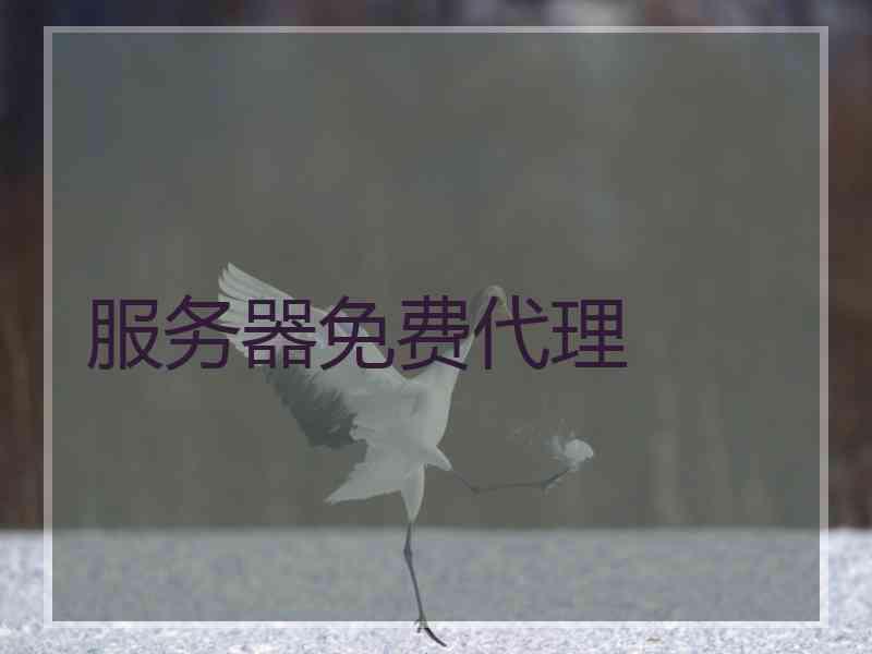 服务器免费代理