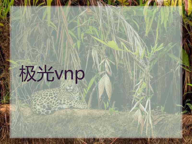 极光vnp