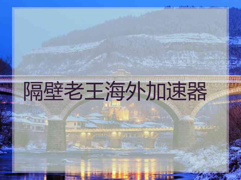 隔壁老王海外加速器