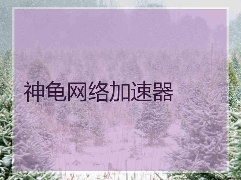 神龟网络加速器