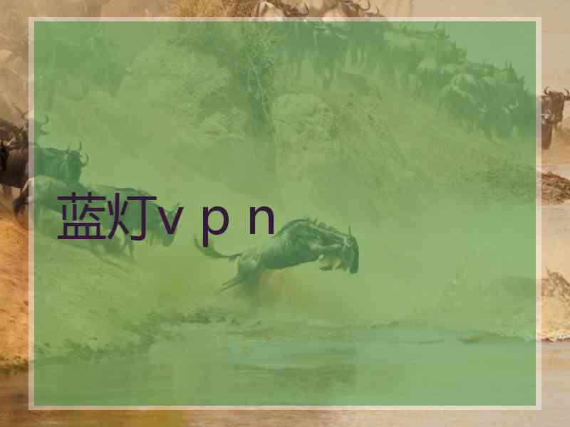蓝灯v p n