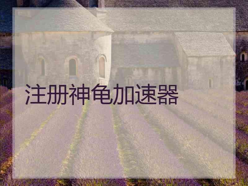 注册神龟加速器