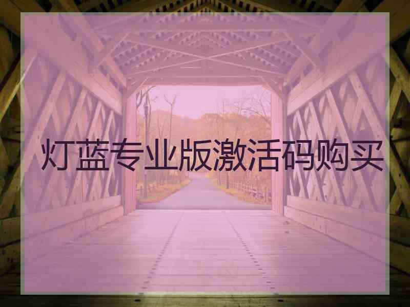 灯蓝专业版激活码购买