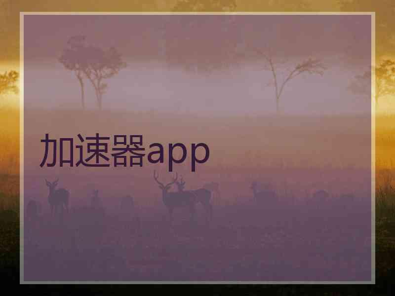 加速器app