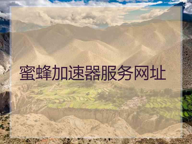 蜜蜂加速器服务网址