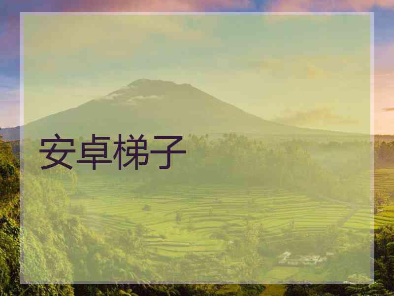 安卓梯子