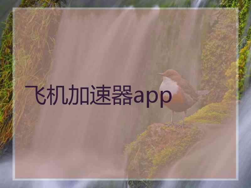 飞机加速器app
