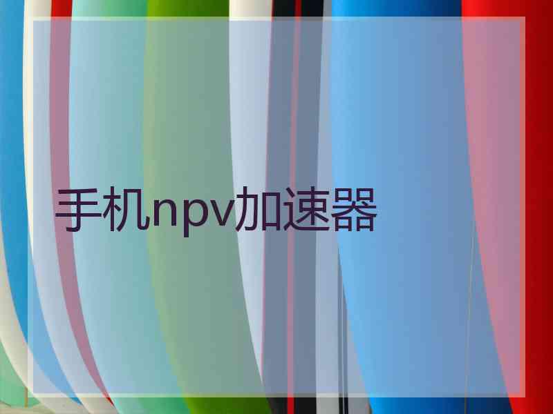 手机npv加速器