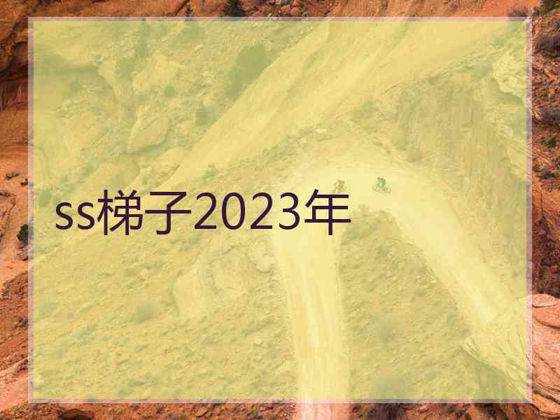 ss梯子2023年