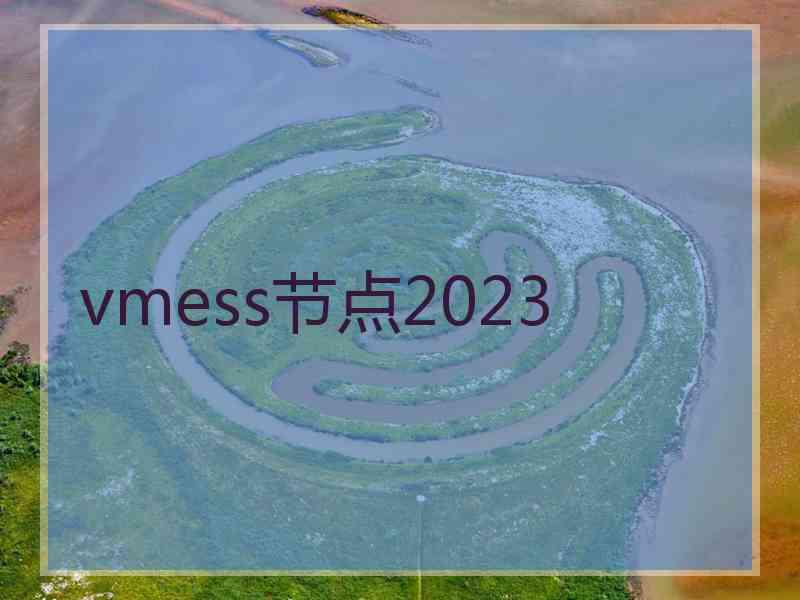 vmess节点2023