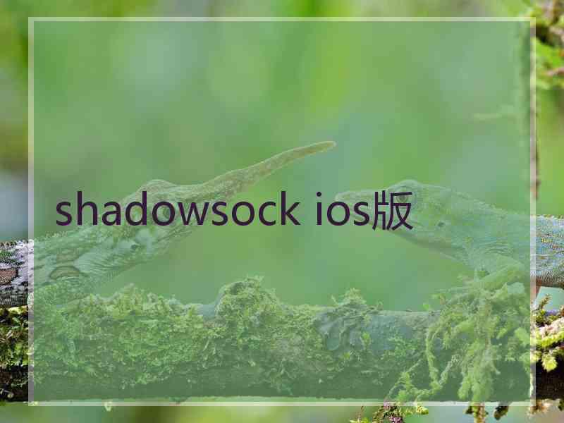 shadowsock ios版