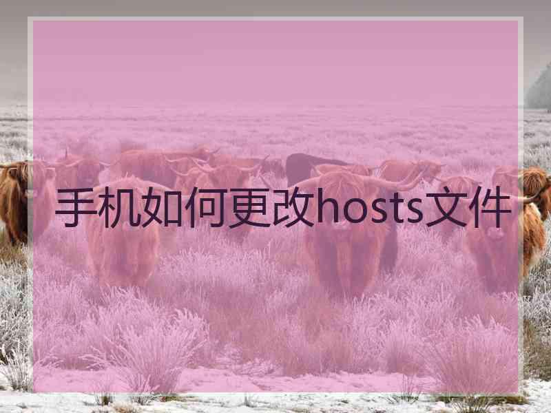 手机如何更改hosts文件