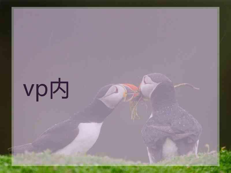 vp内