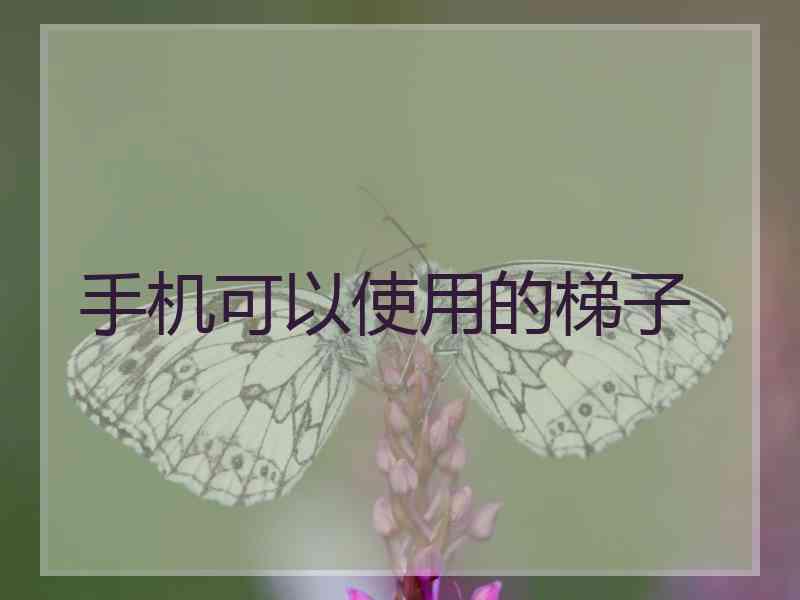 手机可以使用的梯子