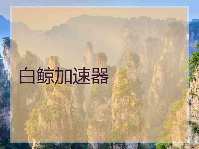 白鲸加速器