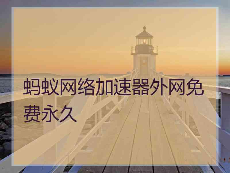 蚂蚁网络加速器外网免费永久