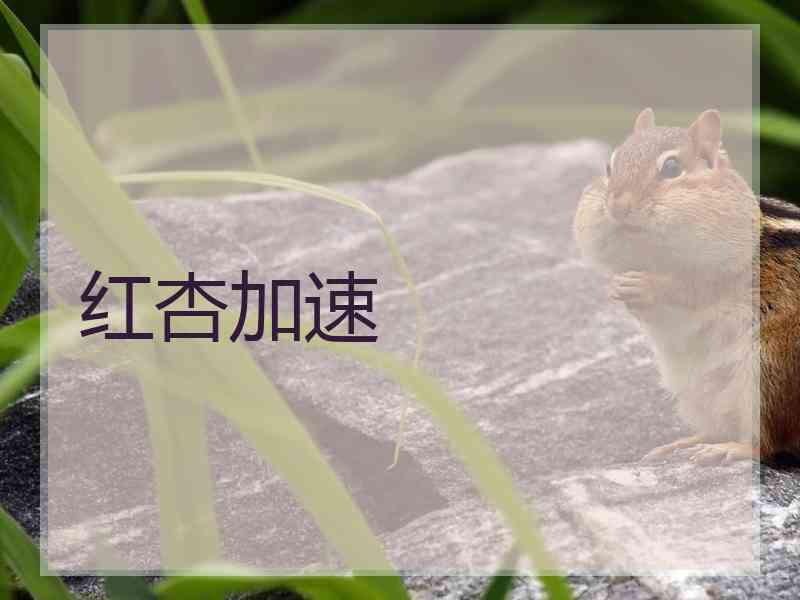 红杏加速