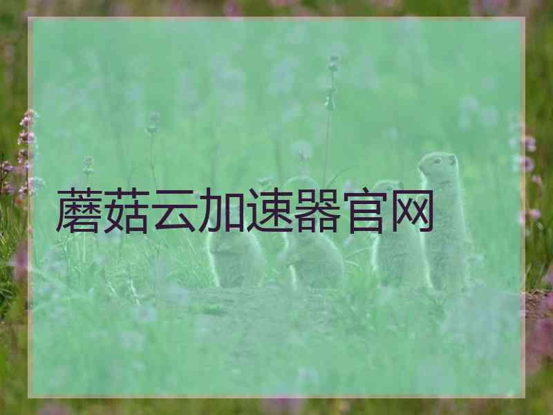蘑菇云加速器官网