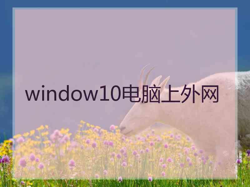 window10电脑上外网