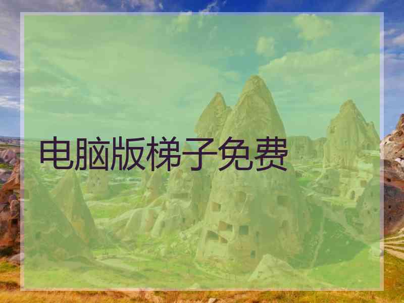 电脑版梯子免费