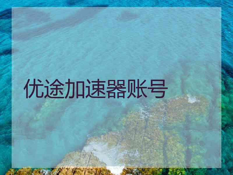 优途加速器账号