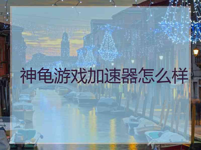 神龟游戏加速器怎么样
