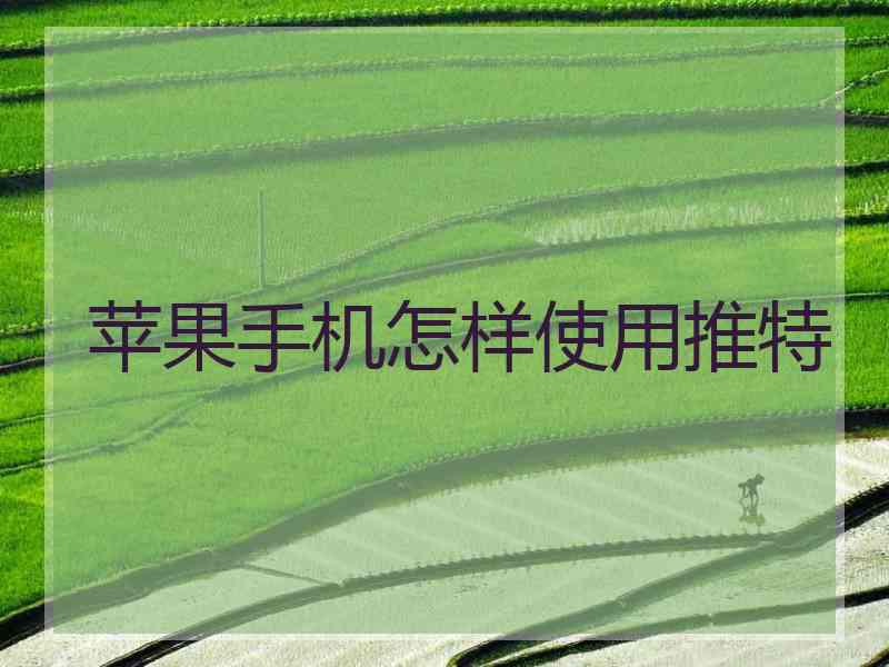 苹果手机怎样使用推特
