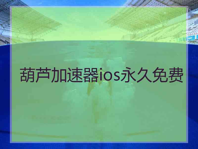 葫芦加速器ios永久免费
