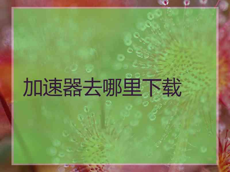 加速器去哪里下载