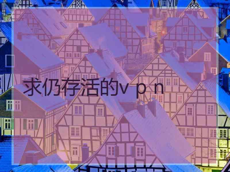 求仍存活的v p n