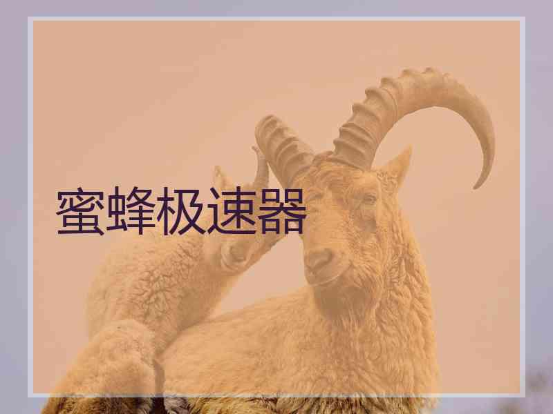 蜜蜂极速器