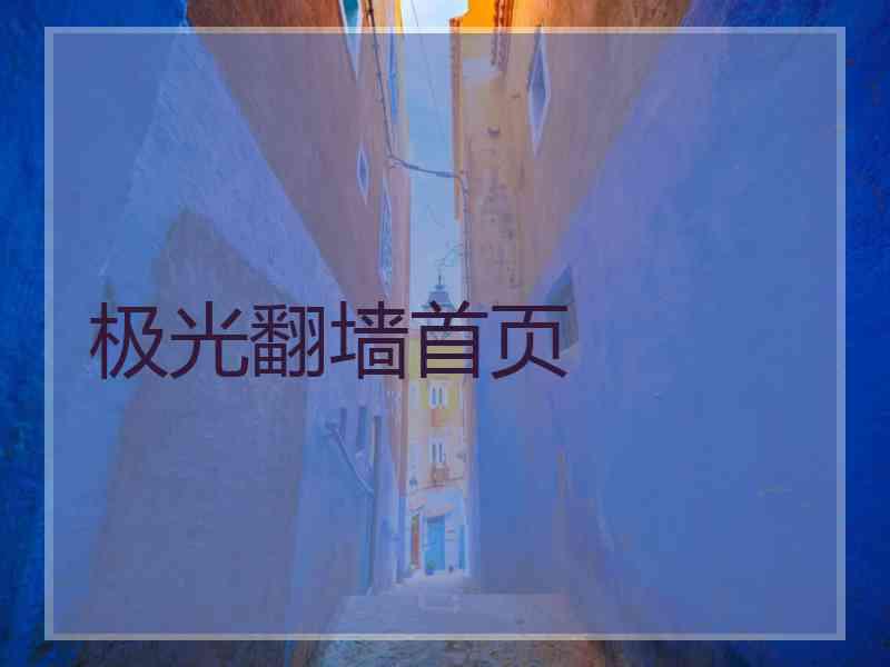 极光翻墙首页