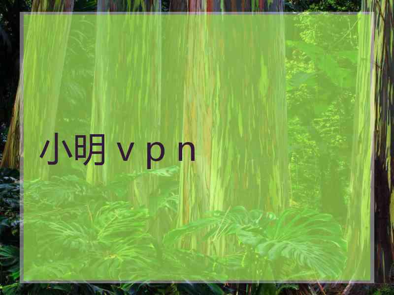 小明 v p n