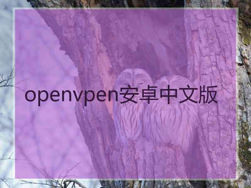 openvpen安卓中文版
