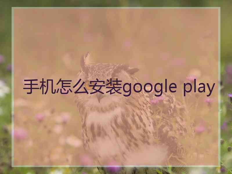 手机怎么安装google play