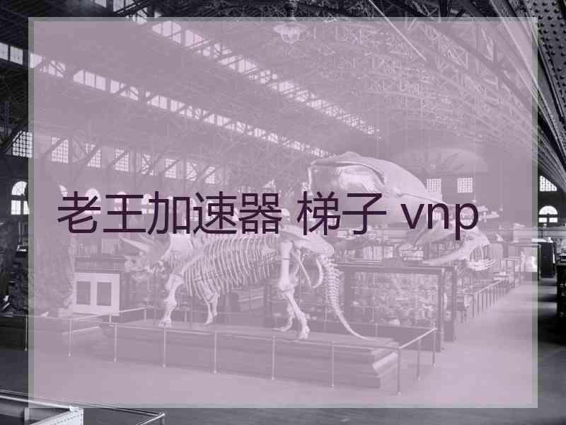 老王加速器 梯子 vnp