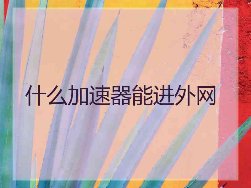 什么加速器能进外网