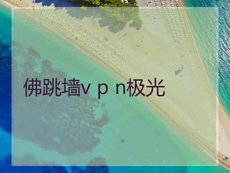 佛跳墙v p n极光