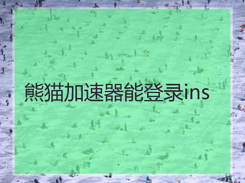 熊猫加速器能登录ins