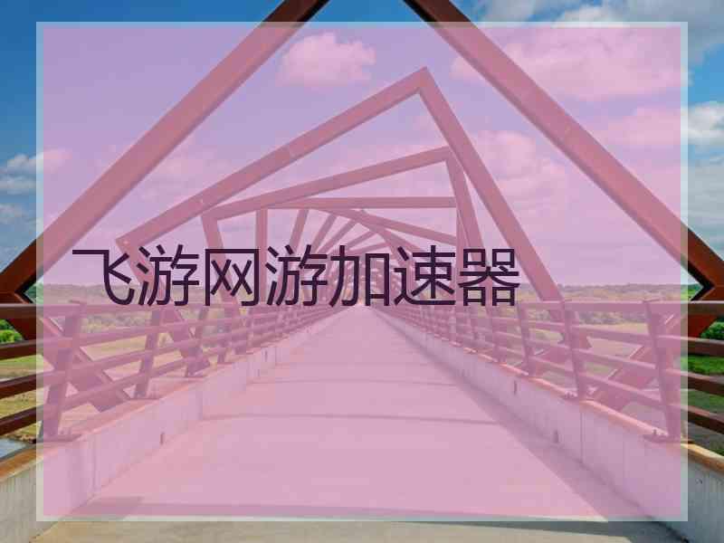 飞游网游加速器